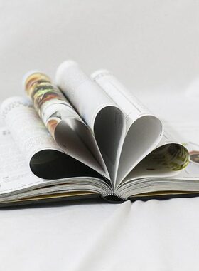 装饰页食谱样板房客厅可英文厅现代别墅翻摆放厨房书西餐真书摆件