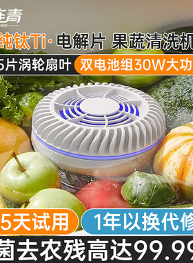 2026新款果蔬去农残消毒清洗机