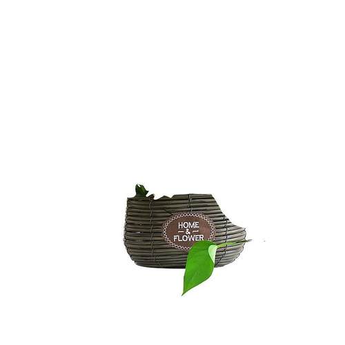 绿萝藤编盆栽植物花卉室内花盆水培净化空气套装吊兰好养客厅观叶 - 图3