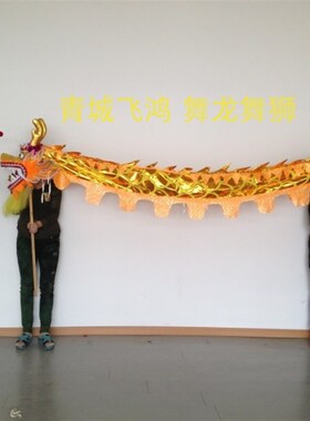 幼儿园六号儿童舞龙儿童烫金龙舞龙 牛津N布舞龙道具手龙儿童龙