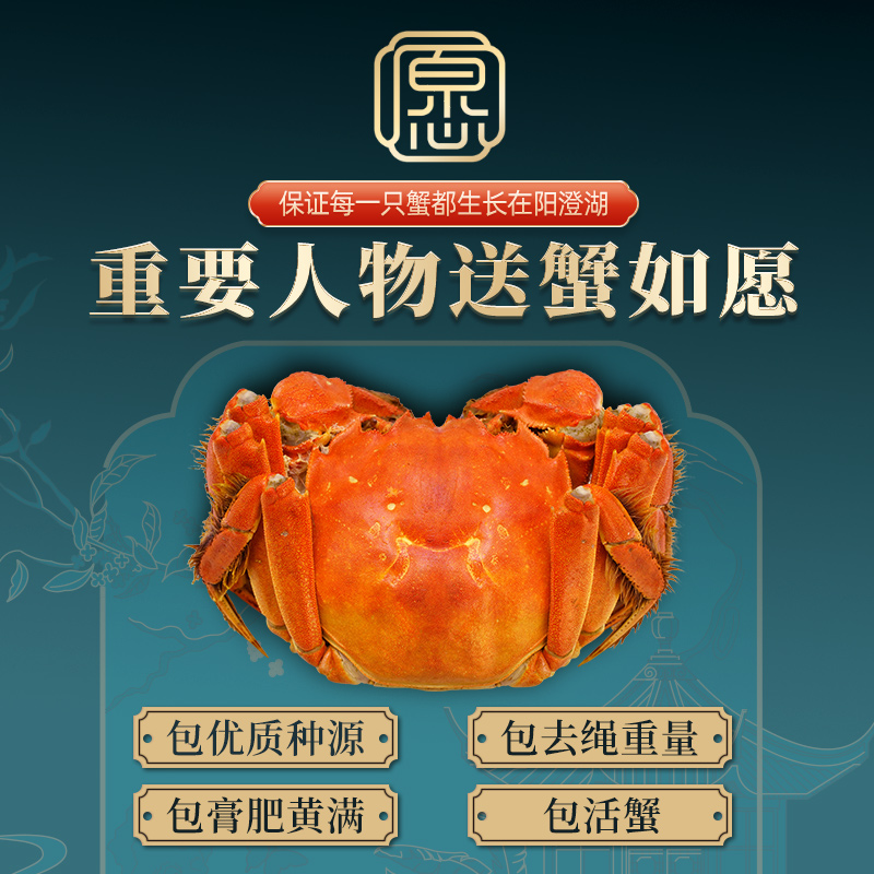 【活蟹】蟹如愿阳澄湖大闸蟹 可全母送礼盒礼物鲜活螃蟹源头直发 - 图0