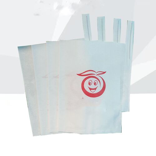 柑橘果套袋e橘子桔子橙子水果加厚防虫袋推荐耙耙柑脐橙专用袋 - 图2