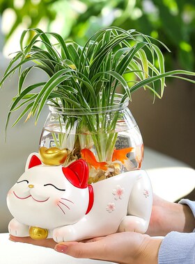 创意个性招财猫水培小型鱼缸客厅家居办公室工位桌面装饰摆件礼物