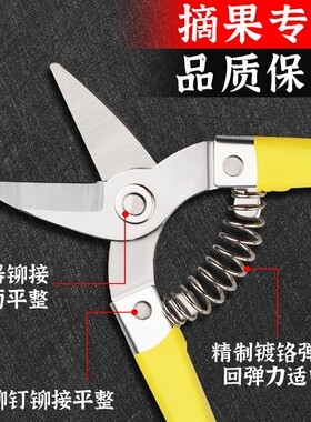 罗定果剪枝剪刀摘果剪修枝剪桔子剪葡萄剪修花剪稀果剪园艺采果