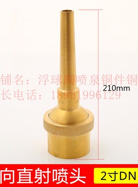 喷泉喷头万向可调直射喷头雪松涌泉花柱蘑菇扇形大口径DN40 DN50