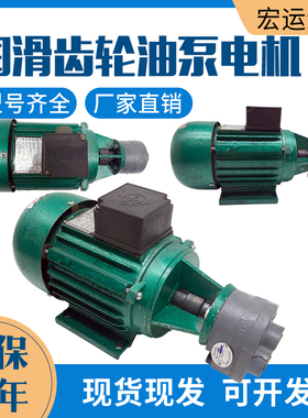 CB-B6/B10/B4/B2.5齿轮泵液压油泵电机组370W/550W润滑油泵头总成