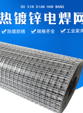 镀锌铁丝网围栏防锈铁网网格家用小孔热镀钢丝网户外栅栏养殖防护