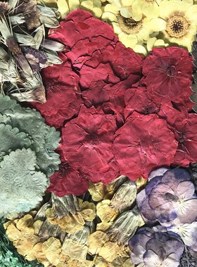 压花花材包260朵 押花花材包 押花材料 滴胶干花DIY手工一件包邮