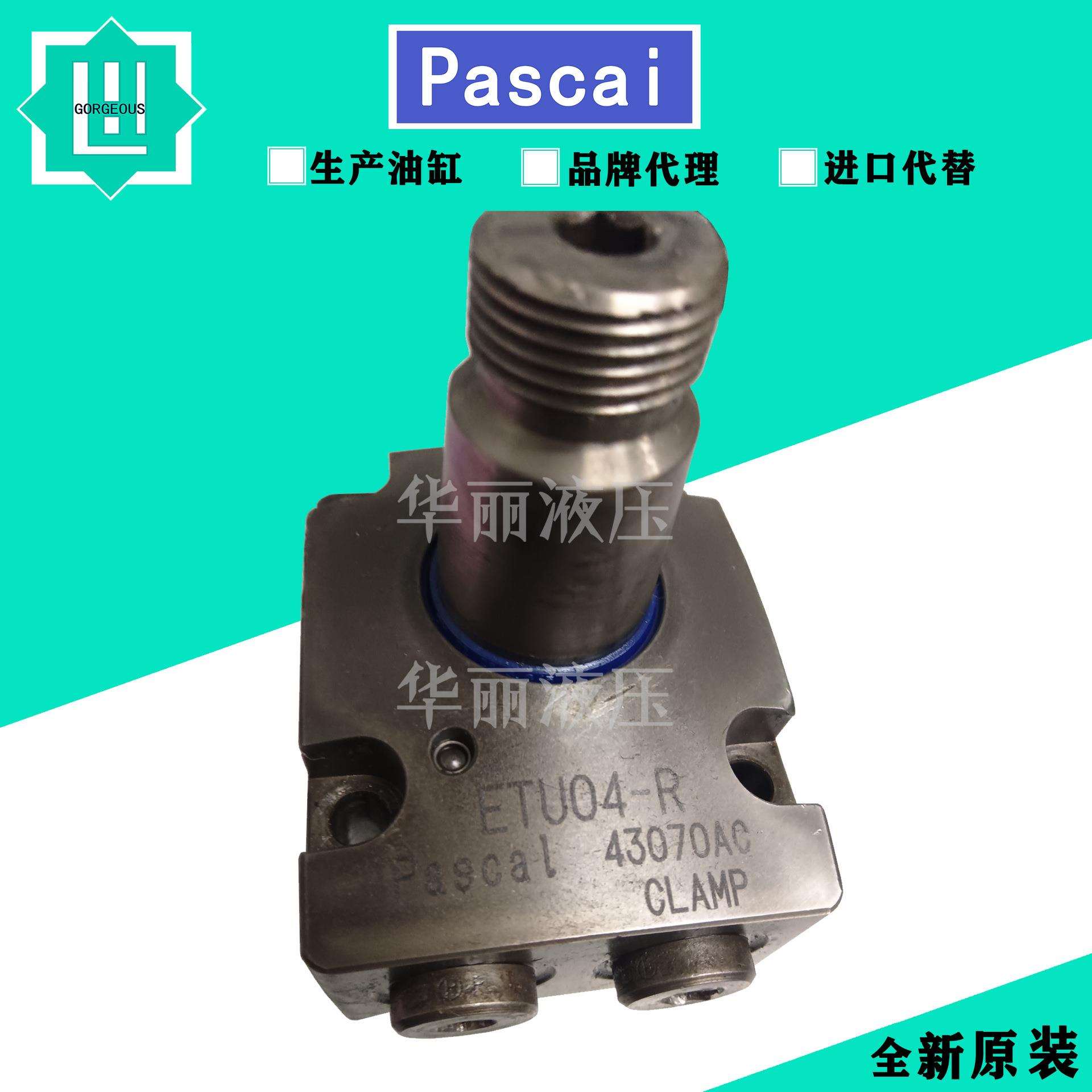 Pascal帕斯卡旋转夹紧油缸 CTT06-RN60工装夹具杠杆缸CTU06-REN45 - 图0