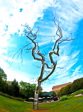 户外大型不锈钢树雕塑定制金y属镂空抽象摆件小区公园景观售楼处