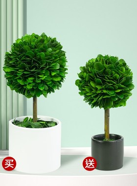 【买一送一】北欧风桌面植物摆件车内饰J品客厅玄关电视柜轻奢装