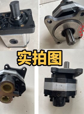 数控液压钢筋调直机油泵叶片齿轮泵调直机配件液压油泵建筑机械