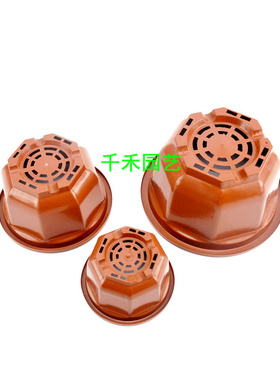 八角吊兰盆塑料花盆悬挂壁挂带吊钩挂钩多肉育苗绿萝盆栽垂吊网底