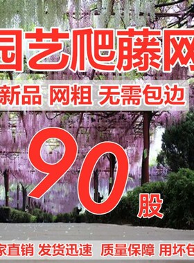 60股加粗植物爬藤网种植网丝瓜苦瓜吊瓜南瓜百香果攀爬植物搭架网