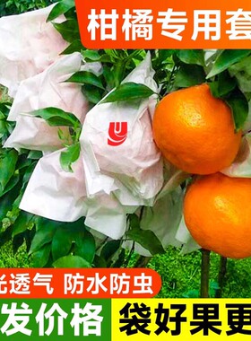 柑橘套袋专用袋橘子果袋粑粑柑丑橘橙子防虫防鸟石榴沃柑水果套袋