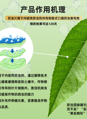 园艺防虫片花卉绿植防蛀盆栽菜地除蚜虫蓟马白粉虱通用糖化硼肥片