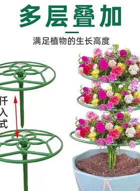 太阳花造型支架仙人掌蟹爪兰嫁接用支撑爬藤棒棒糖固定支撑架花架