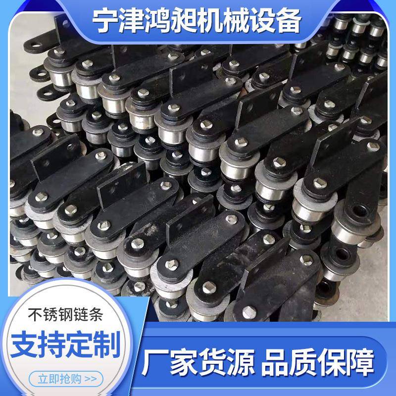 316不锈钢耐高温链条工业传动单排双排链条304单双节距不锈钢链条 - 图0