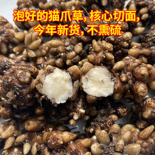 猫爪草原料猫爪草正品猫爪草野生猫爪草新货泡水煲汤姜 - 图2