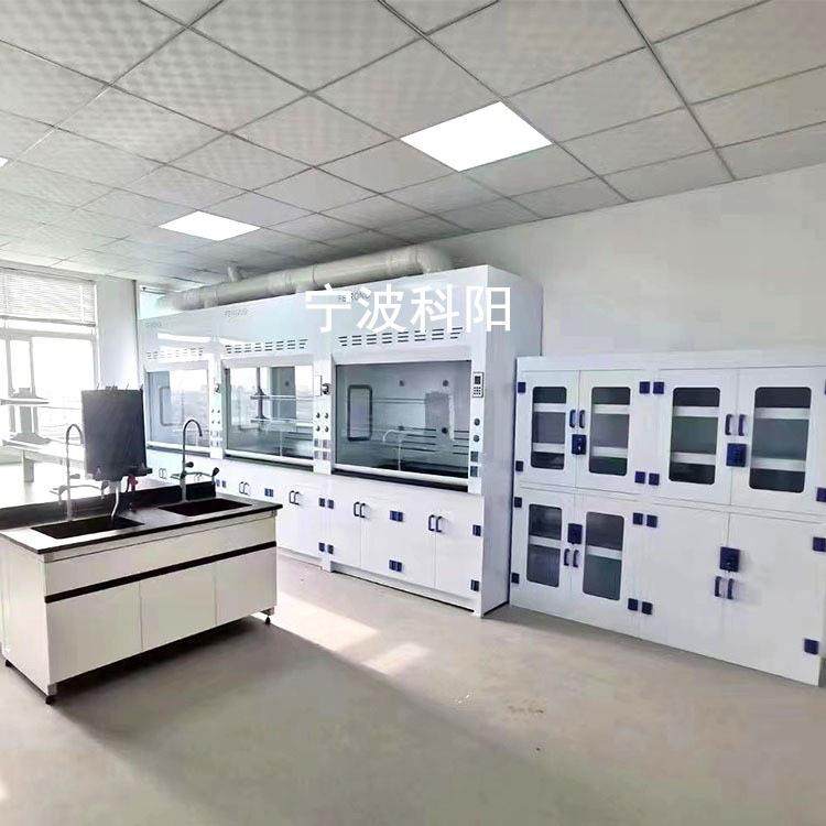 全钢实验台钢木化验台实验室水槽台通风橱柜PP试验工作台中央边台,淘宝优惠券,粉丝福利购,淘宝优惠卷