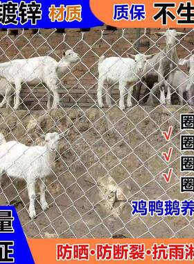 勾花网镀锌养殖勾花网边坡防护网菱形金属网镀锌勾花喷浆挂网