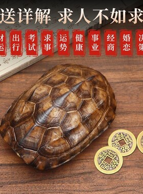 中古龟壳天然真龟甲真乌龟壳手把件易经六十四卦乾隆铜钱六爻文玩