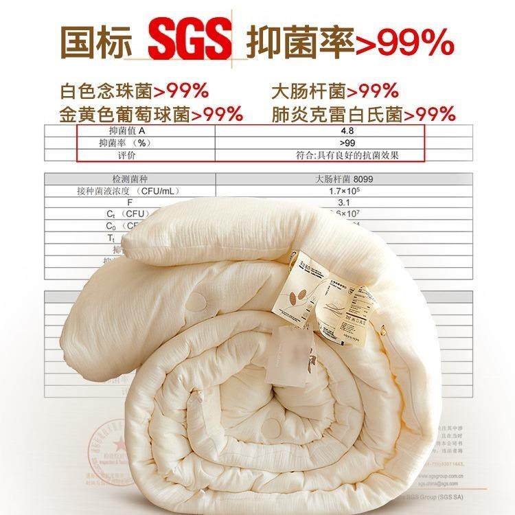 全棉a类母婴级20%蚕丝纤维被芯纯棉双层纱被子春秋被加厚子母冬被,淘宝优惠券,粉丝福利购,淘宝优惠卷