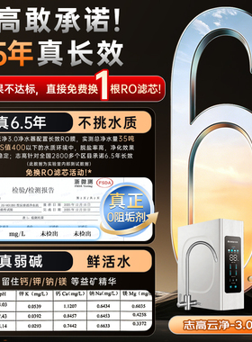 志高陶氏RO膜0阻垢弱碱净水器