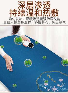 艾灸毯全身通用电加热陈年艾绒毯艾草热敷艾灸毯9档温控现货厂家