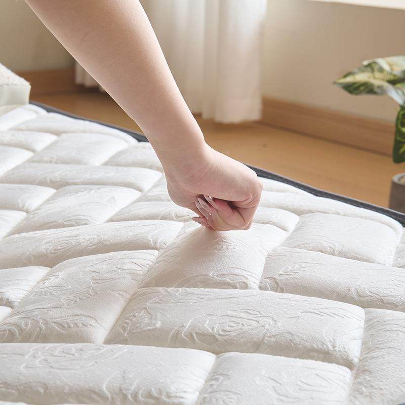 天鹅绒乳胶冰丝床垫软硬适中两用静音抗干扰家用席梦思床垫,淘宝优惠券,粉丝福利购,淘宝优惠卷