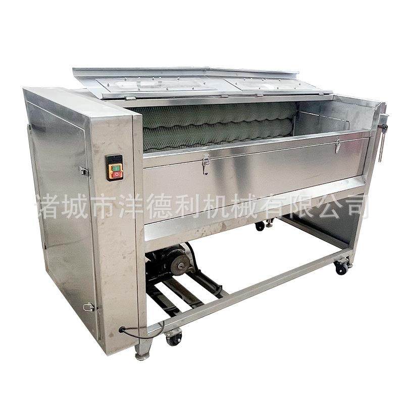 供应鲜花生清洗去泥机蔓菁清洗去皮机根茎类莲藕去泥毛辊清洗机,淘宝优惠券,粉丝福利购,淘宝优惠卷