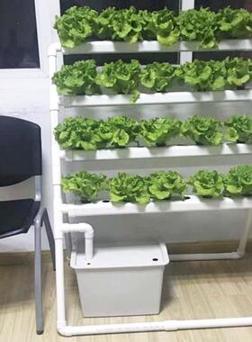 水培蔬菜种植架潮汐式阳台种菜设备梯式水培架无土栽培设备