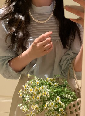 法式珍珠项链轻奢小众高级感设计锁骨链网红百搭颈链2024年新款女