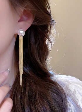 珍珠流苏耳环女小众设计感高级耳坠时尚优雅气质耳饰2024年新款潮