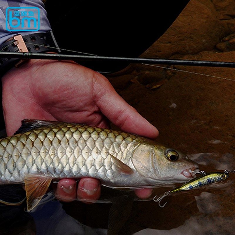 鱼翻肚鱼水面系铅笔濒死仰泳小饵鱼大幅狗步水表之字狗饵,淘宝优惠券,粉丝福利购,淘宝优惠卷