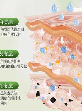 兰欧莲LANOULIAN黄糖精华去角质凝露（黄糖）护肤品源头厂家