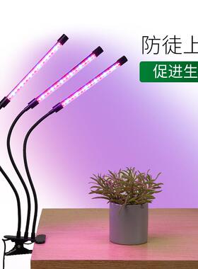 LED植物生长夹子灯USB绿植花卉补光灯定时全光谱植物生长补光灯