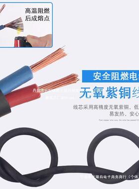 电线软线2芯插头带线家用纯铜电缆线户外1.5/2.5/4平方橡胶电源线