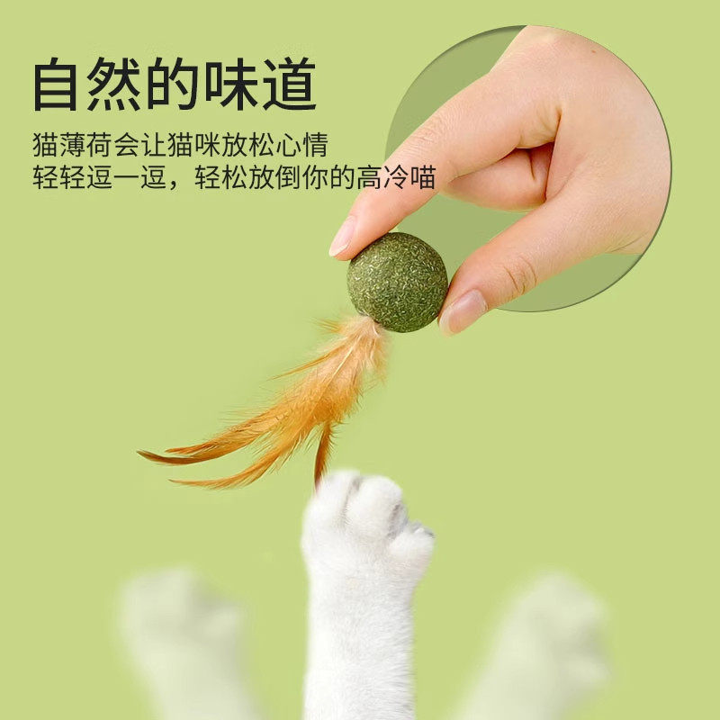 猫玩具猫薄荷球羽毛磨牙自嗨解闷猫草片球逗猫棒猫化排毛猫咪专用,淘宝优惠券,粉丝福利购,淘宝优惠卷
