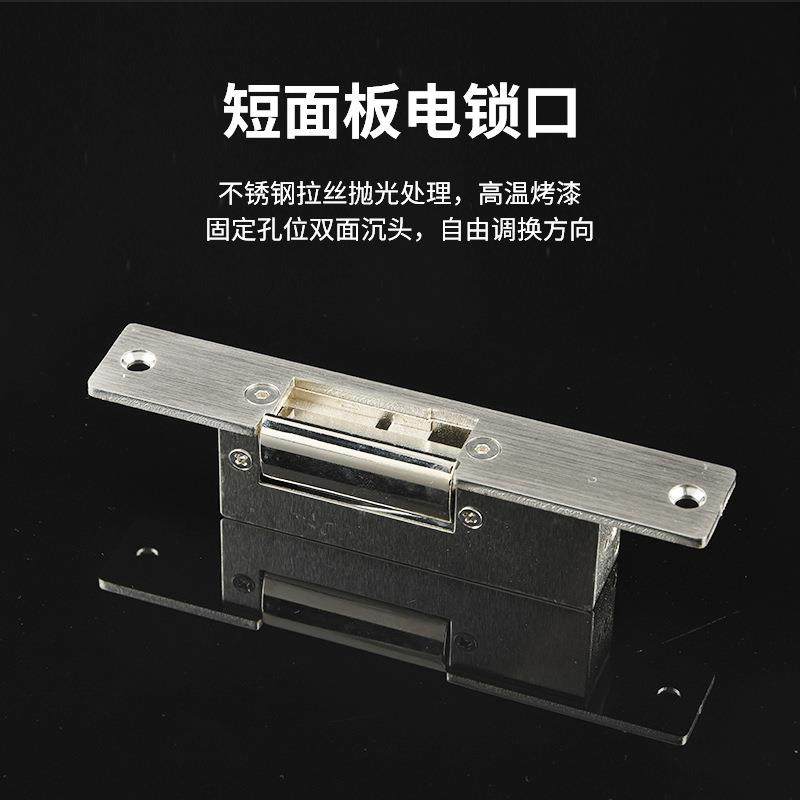 供应NONC不锈钢长面板12V/24V欧美式阴极锁电锁口防盗门,淘宝优惠券,粉丝福利购,淘宝优惠卷