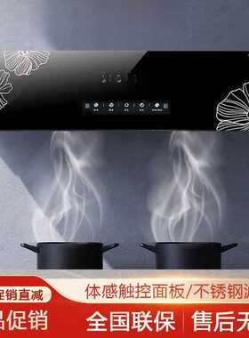 油烟机家用小型出租房顶吸中式大吸力厨房老式抽油烟机直销