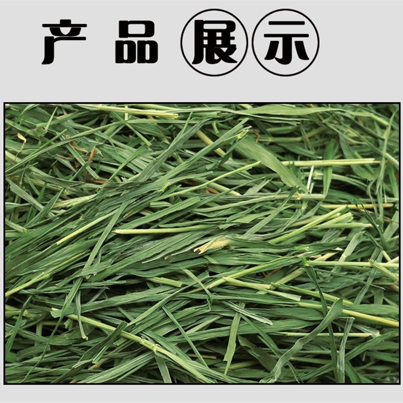 烘干小麦草兔子粮食猪龙猫饲料草料兔兔牧草主粮毛重约g,淘宝优惠券,粉丝福利购,淘宝优惠卷