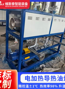 电加热导热油炉导热油加热器有机热载体锅炉热压机循环锅炉可定