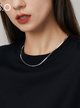 纯银项链冷淡风小众设计感轻奢扁蛇骨锁骨链女颈链2021年新款女