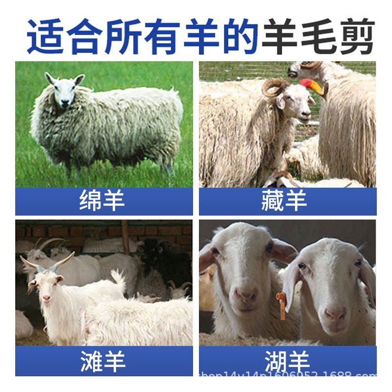 新款大功率电动羊毛剪电剪刀羊毛推子电动剪毛机剪羊毛神器 - 图1