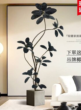 彷真绿色植物橡皮树室内盆栽大型彷生植物假树轻奢客厅装饰.品落