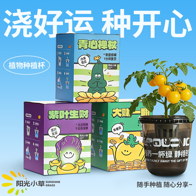 阳光小草桌面绿植种植杯办公室懒人室内种植小盆栽水果蔬菜送礼物