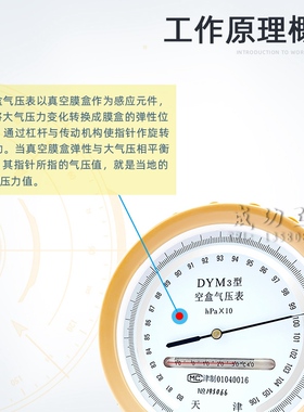 天津凤洋空盒气压表dym3空气压力表大气户外平原型高精度气压计