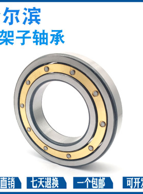 哈尔滨深沟球铜保持器轴承6206M 6207M 6208M 6209M 6210M 6211M