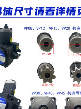 液压油泵变量叶片泵VP-20-FA3 VP-15 VP-40 VP-30-FA3-D H DH压头